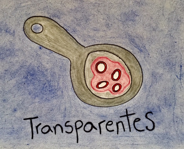 transparentes