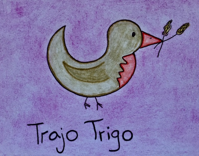 trigo