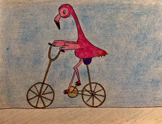bicicleta